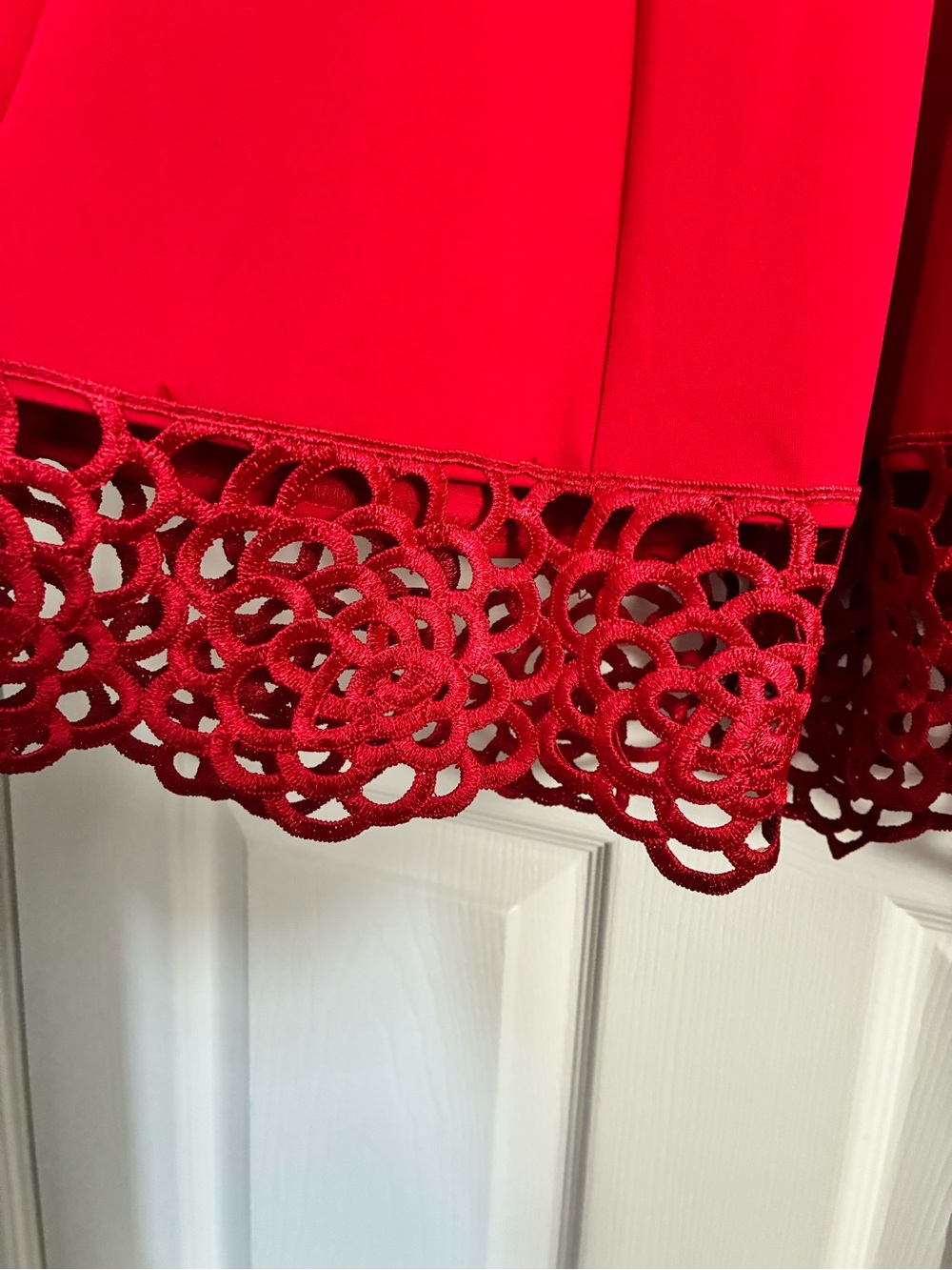 Donna Ricco Red Cap-Sleeve Fit-and-Flare Dress with Laser-Cut Lace Hem - Picture 6 of 7